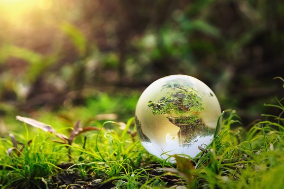 globe glass on grass with sunshine 
