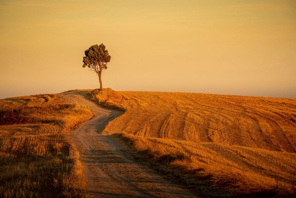 travel-header.jpg 